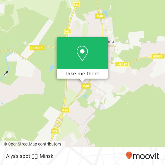 Alya's spot 👐🏽 map