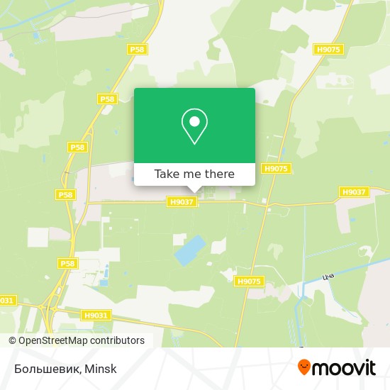 Большевик map
