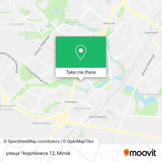 улица Чюрлёниса 12 map