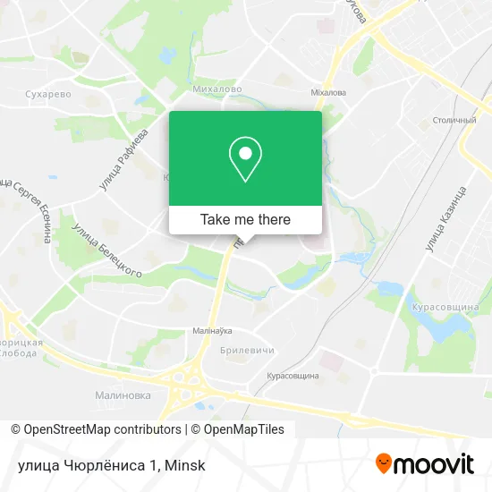 улица Чюрлёниса 1 map