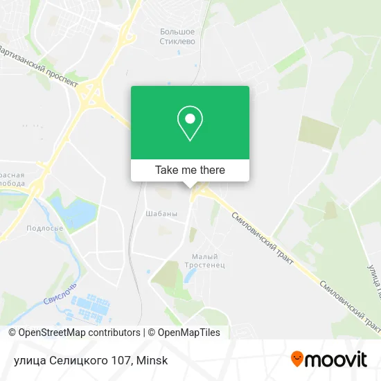 улица Селицкого 107 map