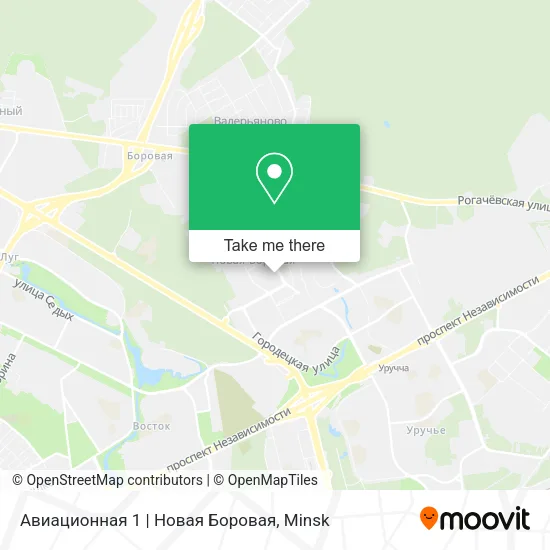 Авиационная 1 | Новая Боровая map