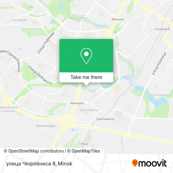 улица Чюрлёниса 8 map