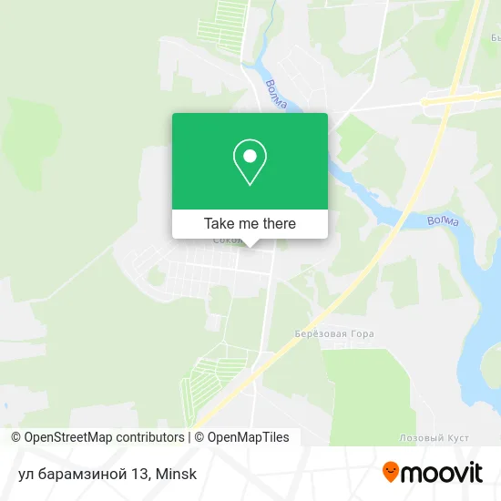 ул барамзиной 13 map