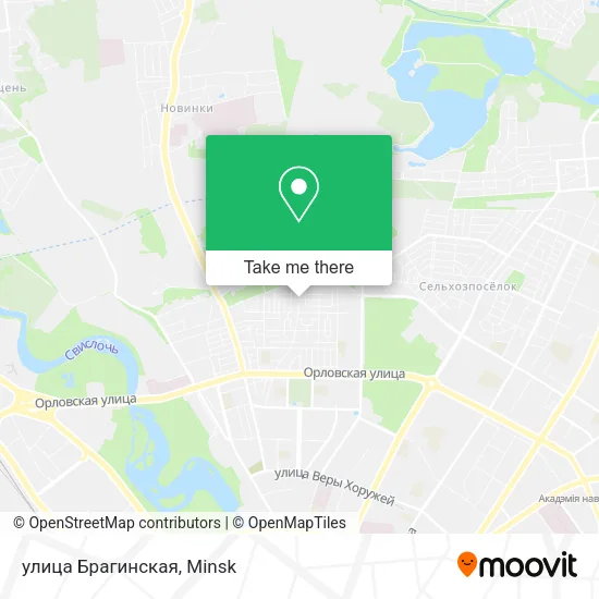 улица Брагинская map