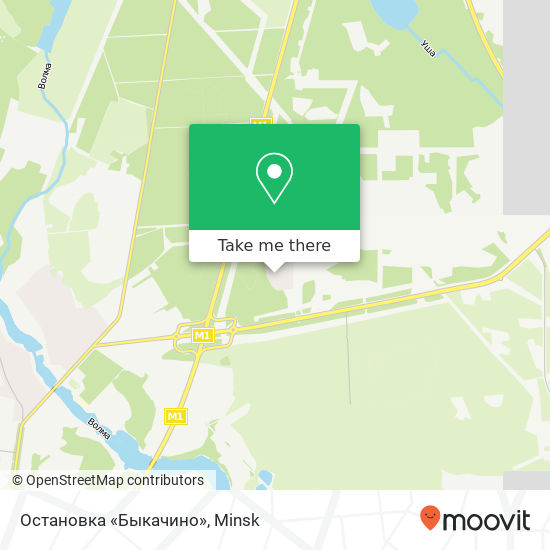 Остановка «Быкачино» map