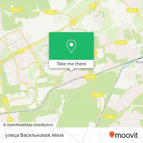 улица Васильковая map