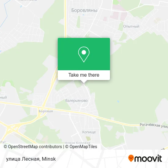 улица Лесная map