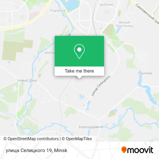 улица Селицкого 19 map