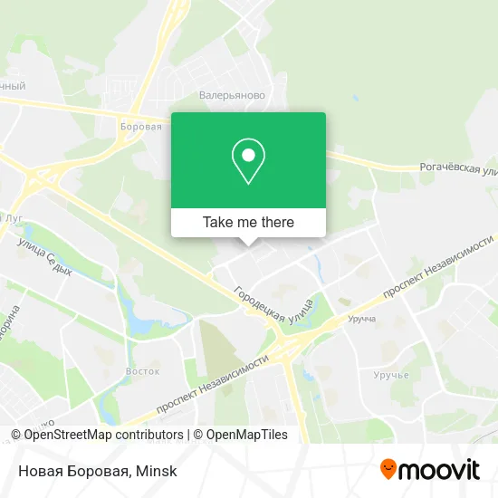 Новая Боровая map