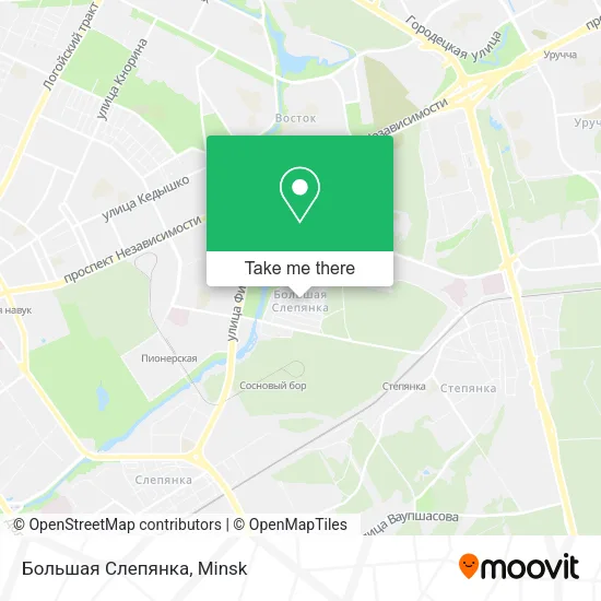 Большая Слепянка map