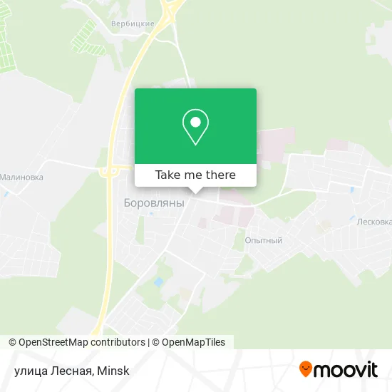 улица Лесная map