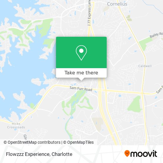 Flowzzz Experience map