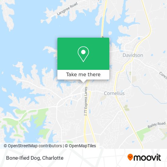 Bone-Ified Dog map