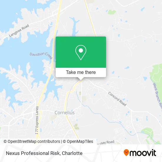 Nexus Professional Risk map