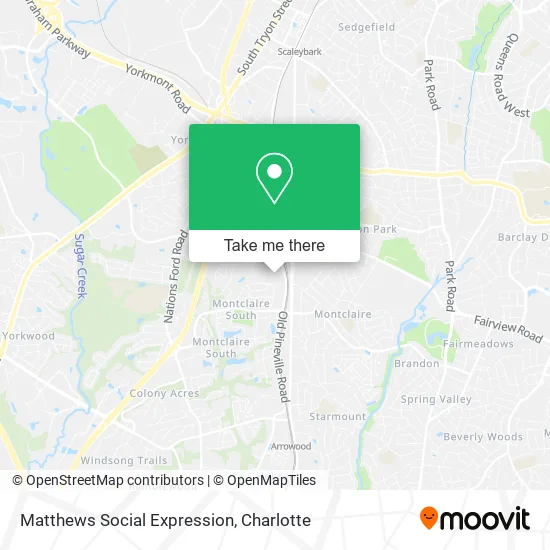 Matthews Social Expression map