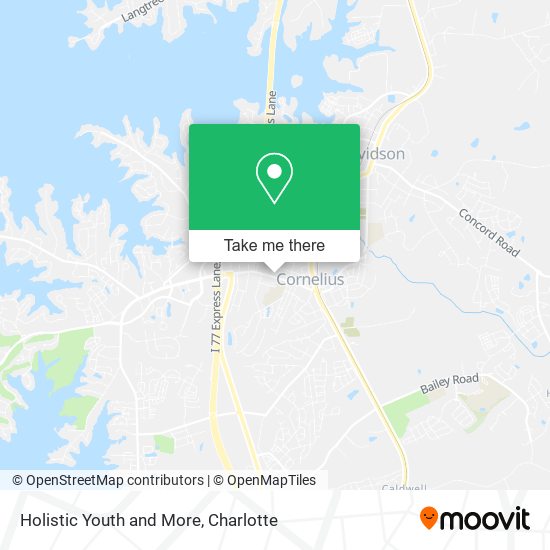 Holistic Youth and More map
