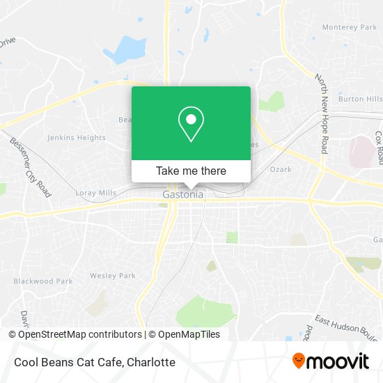 Cool Beans Cat Cafe map