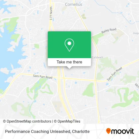 Performance Coaching Unleashed map
