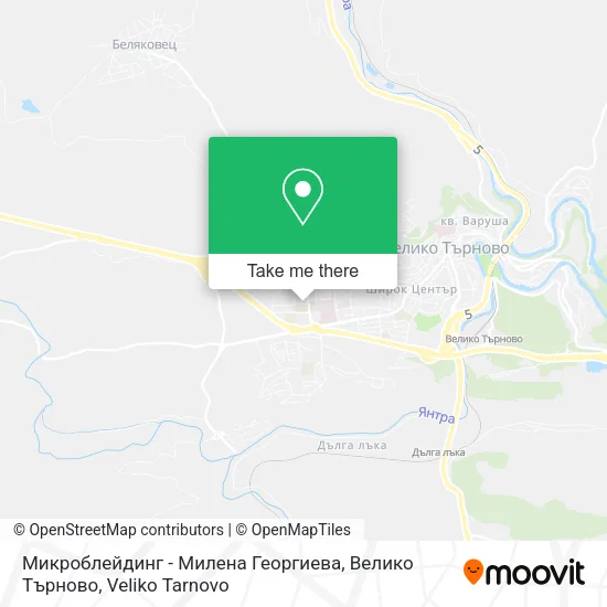 Карта Микроблейдинг - Милена Георгиева, Велико Търново