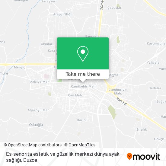 Es-senorita estetik ve güzellik merkezi dünya ayak sağlığı map