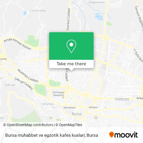 Bursa muhabbet ve egzotik kafes kuslari map