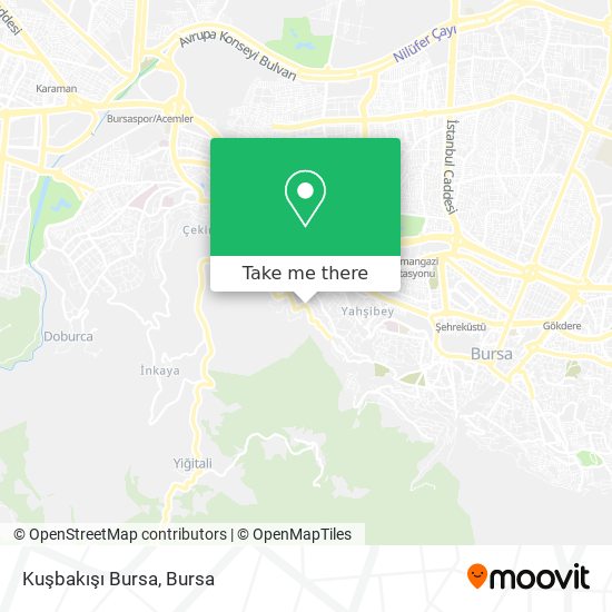 Kuşbakışı Bursa map