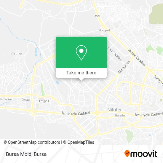 Bursa Mold map