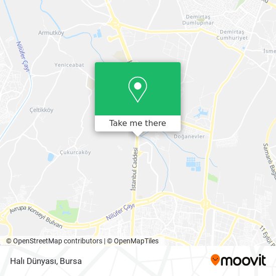 Halı Dünyası map