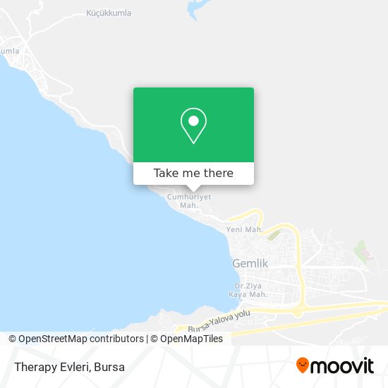 Therapy Evleri map