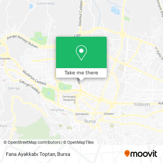 Fana Ayakkabı Toptan map