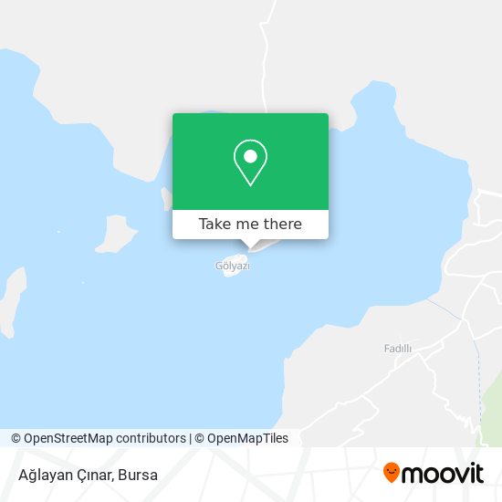Ağlayan Çınar map