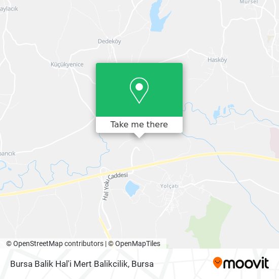 Bursa Balik Hal'i Mert Balikcilik map