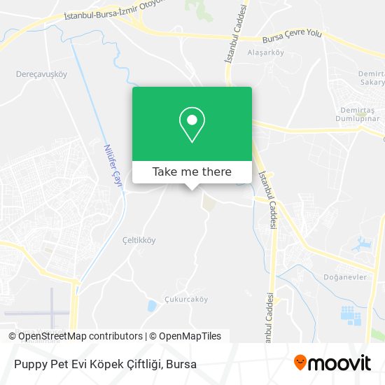 Puppy Pet Evi Köpek Çiftliği map