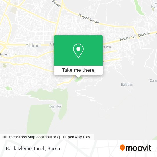 Balık Izleme Tüneli map