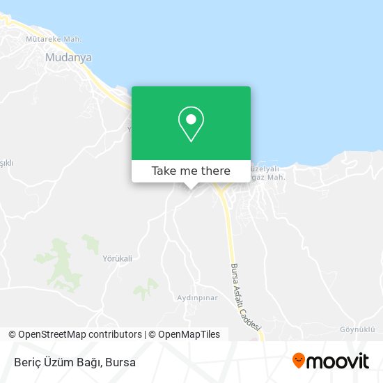 Beriç Üzüm Bağı map