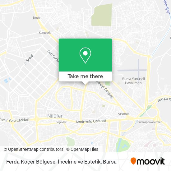 Ferda Koçer Bölgesel İncelme ve Estetik map