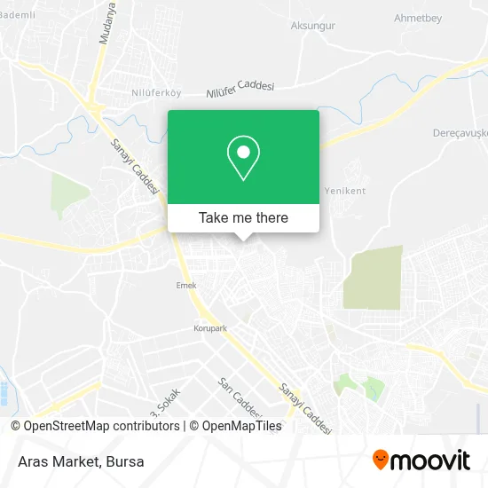 Aras Market map