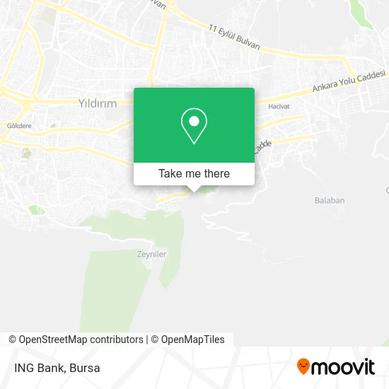ING Bank map