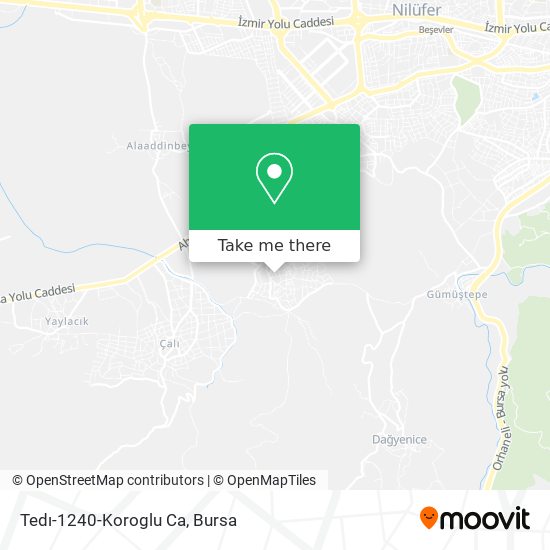 Tedı-1240-Koroglu Ca map