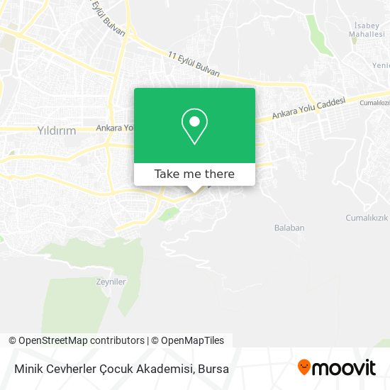 Minik Cevherler Çocuk Akademisi map