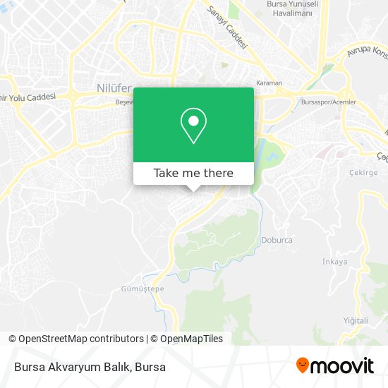 Bursa Akvaryum Balık map