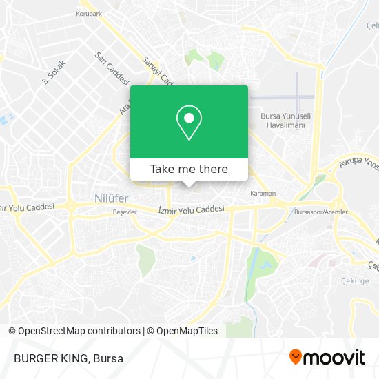 BURGER KING map