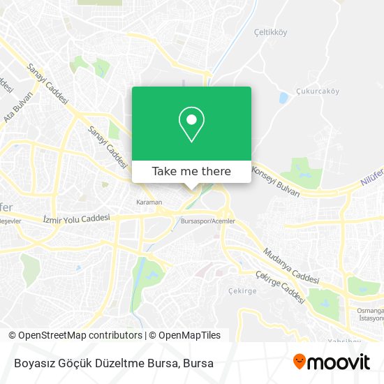 Boyasız Göçük Düzeltme Bursa map