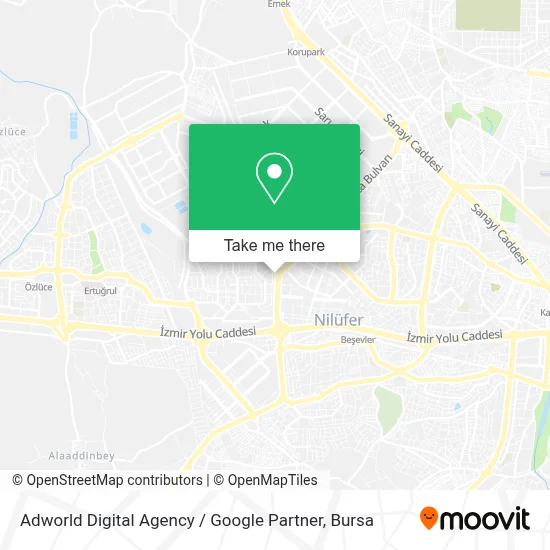 Adworld Digital Agency / Google Partner map