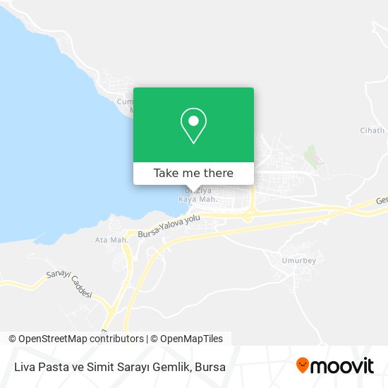 Liva Pasta ve Simit Sarayı Gemlik map