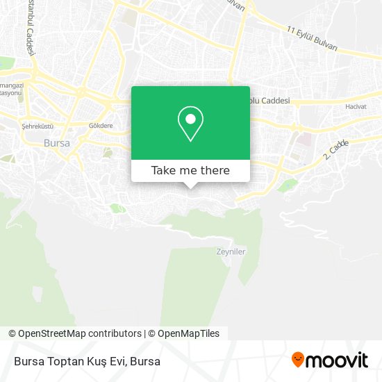 Bursa Toptan Kuş Evi map
