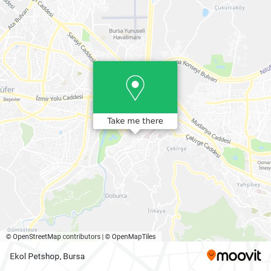 Ekol Petshop map