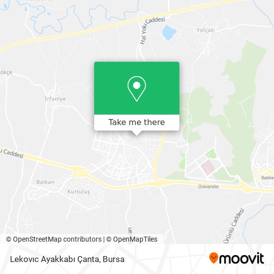 Lekovıc Ayakkabı Çanta map