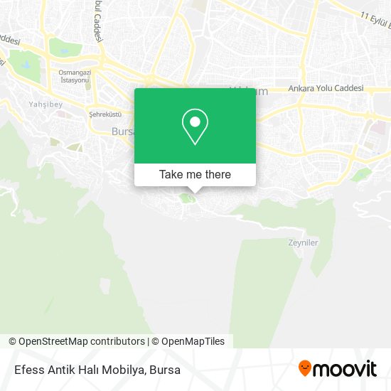 Efess Antik Halı Mobilya map